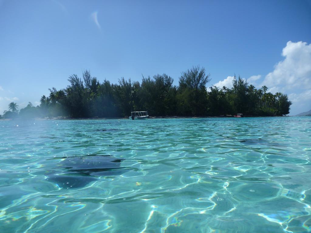 Fare Vaihere Moorea Exteriör bild